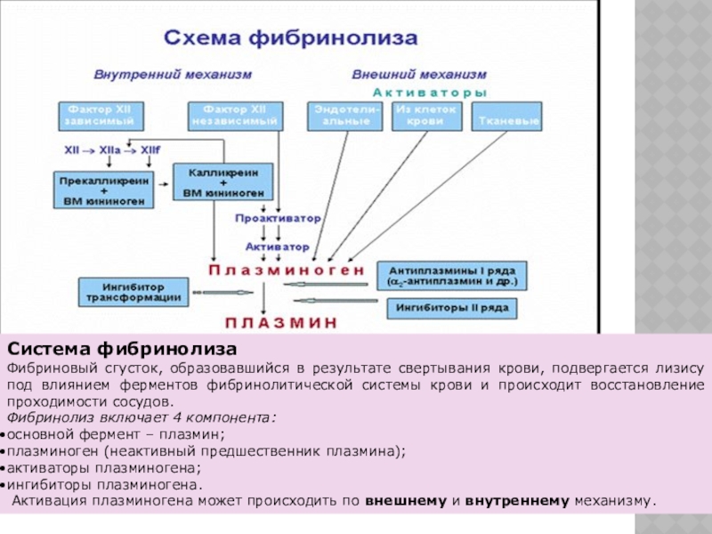 Договоры saas образец