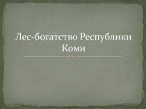 Лес-богатство Республики Коми