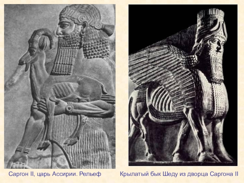 Месопотамия особенности. Царь Саргон Ассирия. Дворец Саргона 2 Ассирия. Царь Саргон ассирийский рельеф. Саргон 2 царь ассирийский рельеф.
