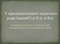 У прилагательного мужского рода (какой?) в И.п. и В.п