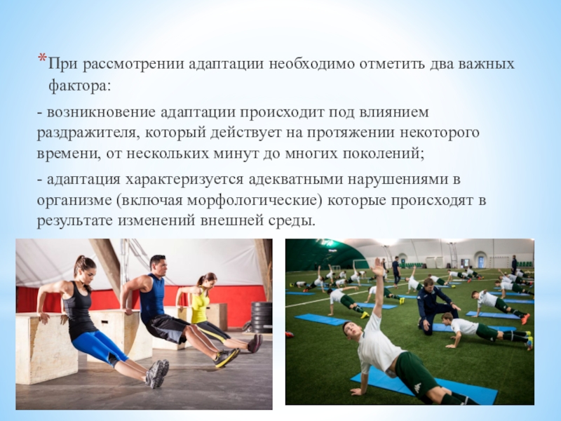 Спортивная адаптация. Адаптация к физ упражнениям. Адаптация к физическим нагрузкам презентация. Адаптация к физическим упражнениям упражнения. Адаптация к физическим упражнениям презентация.
