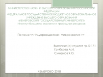 МИНИСТЕРСТВО НАУКИ И ВЫСШЕГО ОБРАЗОВАНИЯ РОССИЙСКОЙ ФЕДЕРАЦИИ ФЕДЕРАЛЬНОЕ