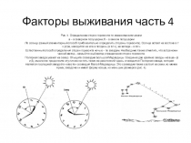 Факторы выживания часть 4