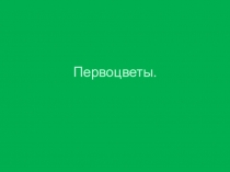 Первоцветы