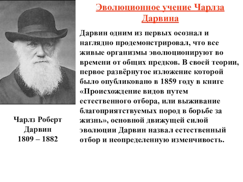 Роль эволюционного учения в формировании современной естественнонаучной картины мира кратко