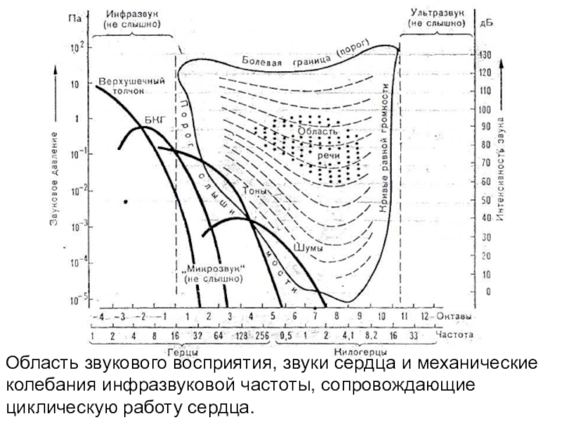 Ард диаграмма ультразвук это - 88 фото