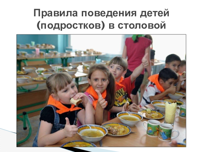 Ребенок не хочет в лагерь. Детский лагерь столовая. Обед в детском лагере. Дети в столовой в лагере. Питание в детских лагерях.