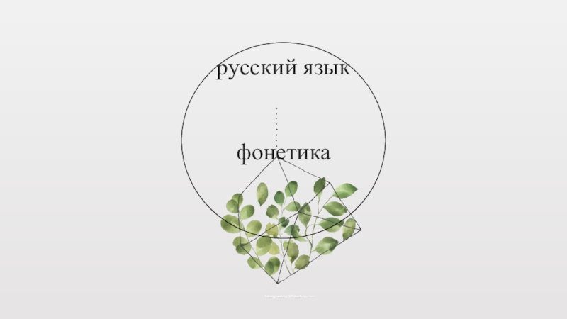 русский язык фонетика