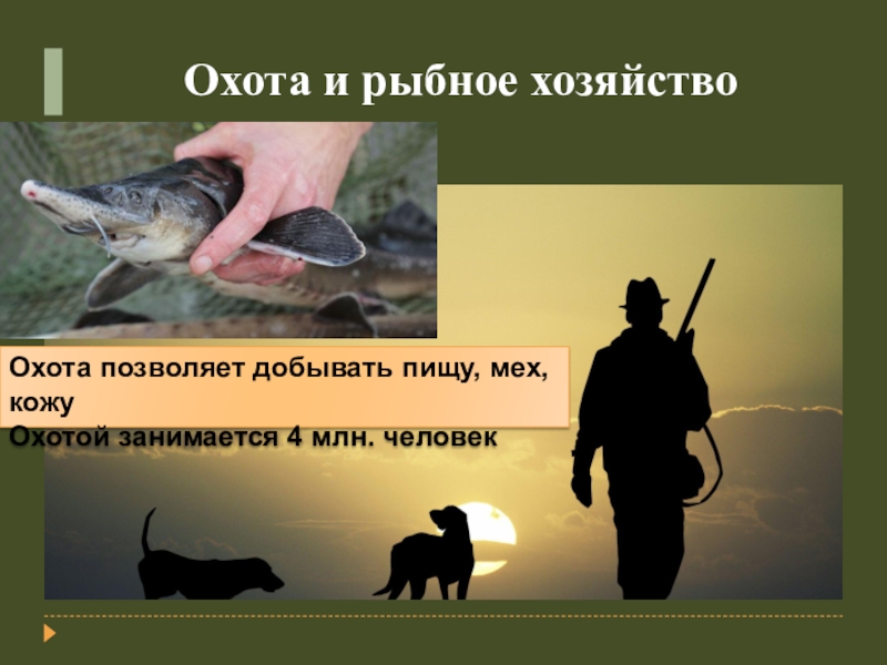 Охота и рыбное хозяйство
Охота позволяет добывать пищу, мех, кожу
Охотой