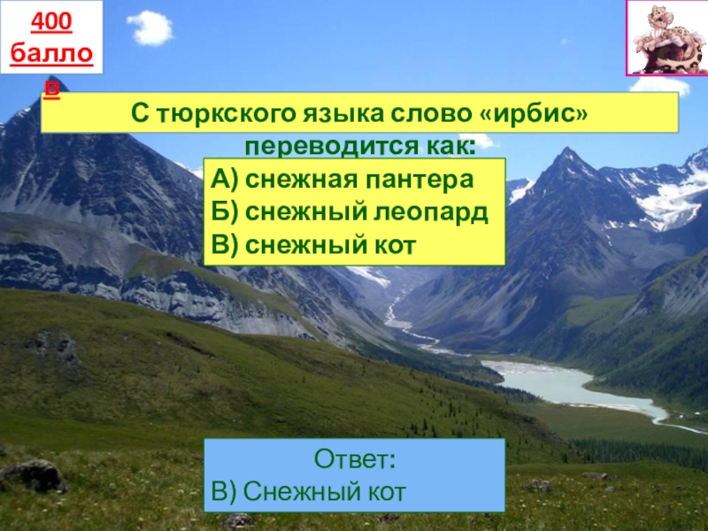 Как переводится урал с тюркского языка. Ирбис перевод с тюркского. Как переводится Тау с тюркского. Как переводится Ирбис с татарского на русский.