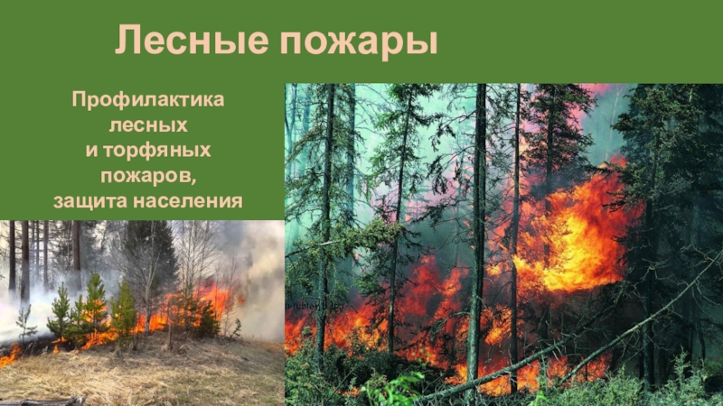 Лесные пожары
Профилактика лесных
и торфяных пожаров,
защита населения