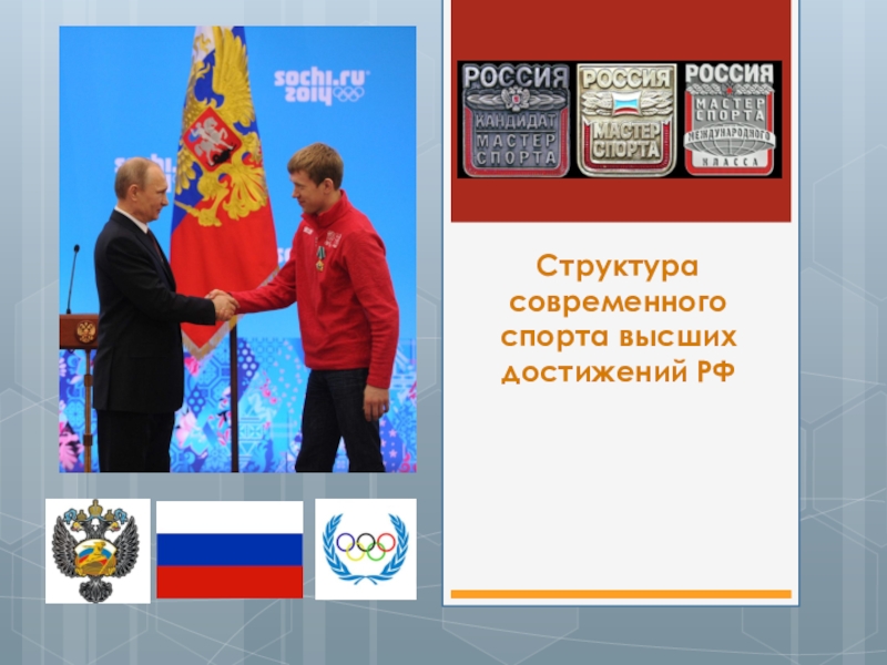 Структура современного спорта высших достижений РФ