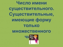 Число имени существительного. Существительные, имеющие форму только