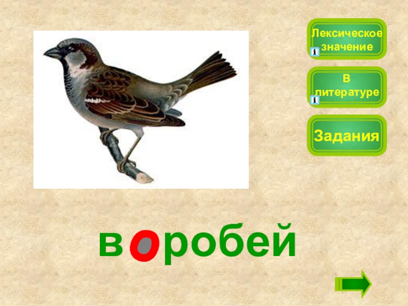 Гордость лексическое значение. Воробей лексическое значение. Хвост лексическое значение. Лексическое значение слова Сова. Лексическое значение слова Воробей 3 класс.