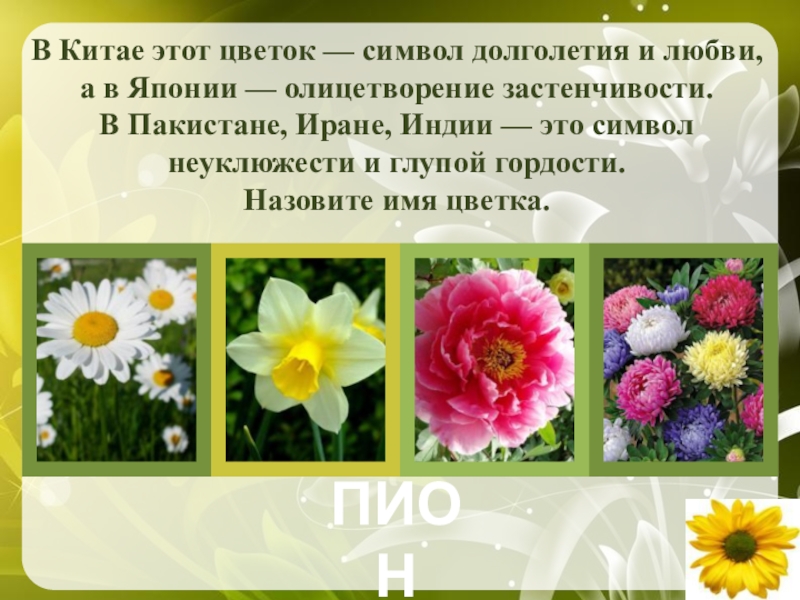 Какой цветок символ. Цветок символ долголетия. Цветок символ любви. Цветок символ долголетия в Китае этот и любви. Назовите растение символ Китая.