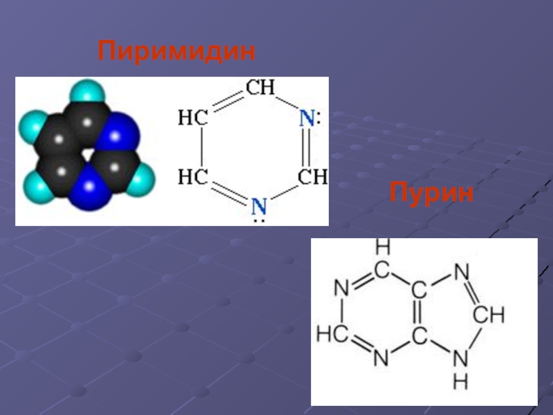 Пиримидин. Пиримидин Пурин нуклеиновые кислоты. Пурины и пиримидины. Пиримидин формула. Окисление пиримидина.