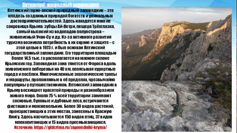 Название заповедника в крыму. Ялтинский Горно Лесной заповедник в Крыму. Музей природы Ялтинской Горно лесой.