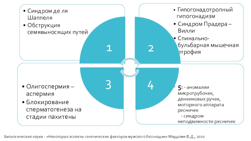 Главные факторы в мужчине. Мужской фактор бесплодия. Генетические аспекты бесплодия. Генетический фактор бесплодия. Внешние факторы бесплодия у мужчин.