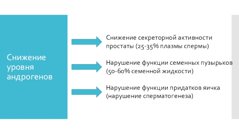 Функции семенной жидкости