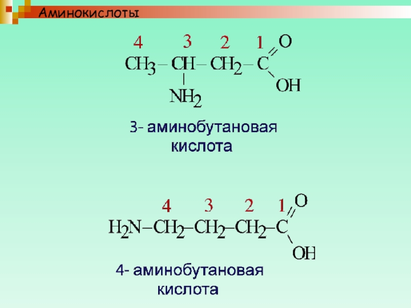 Тест аминокислоты 10 класс химия. Аминокислоты 10 класс. Амины химия 10 класс. Аминокислоты химия 10 класс. Цепочки на Амины 10 класс.