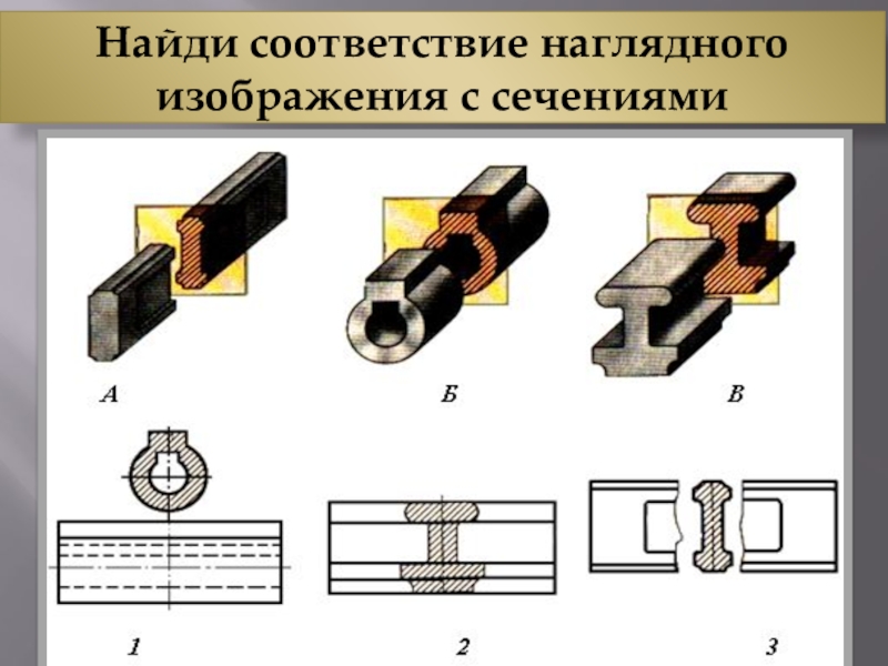 По видам и разрезам найдите наглядные изображения