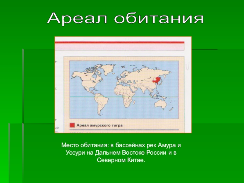 Ареалы обитания презентация