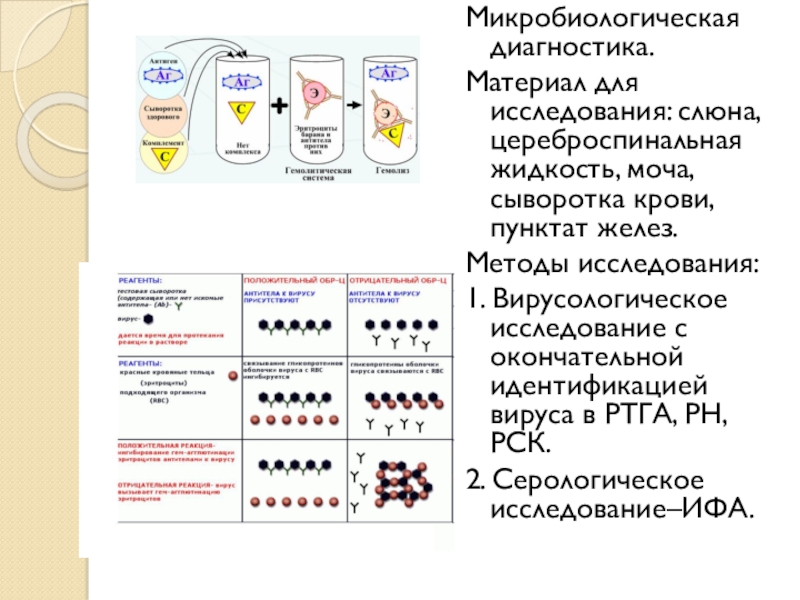Материал диагностика. Методы исследования слюны. Материал для микробиологических исследований краснухи. Диагностика краснухи микробиология. Микробиологическое исследование слюны.