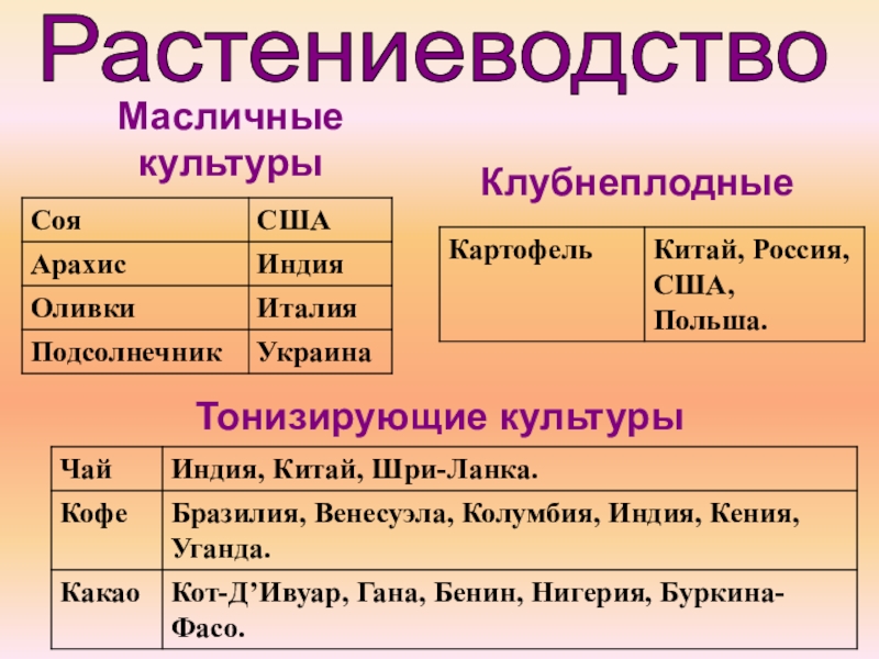 Тонизирующие культуры презентация