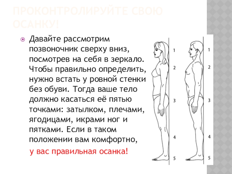 Теле правильно. Позвоночник сверху вниз. Как сделать осанку прямой и красивой. Какие части тела должны касаться стены при правильной осанке. Осанка и висячая попа.