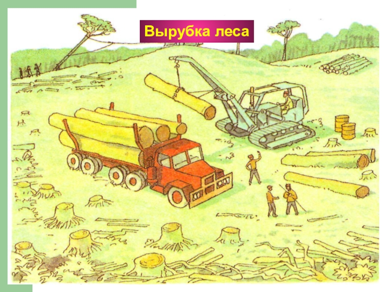 Рисунок влияние человека на природу