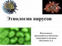 Этиология вирусов