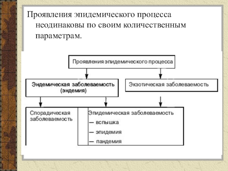 Схема эпидемического процесса