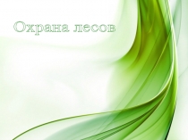 Охрана лесов
