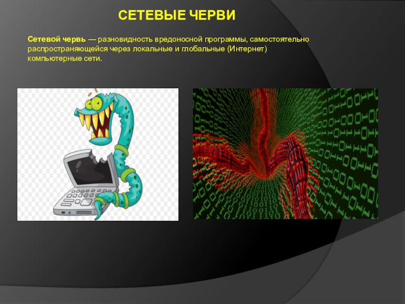 Сетевые черви презентация