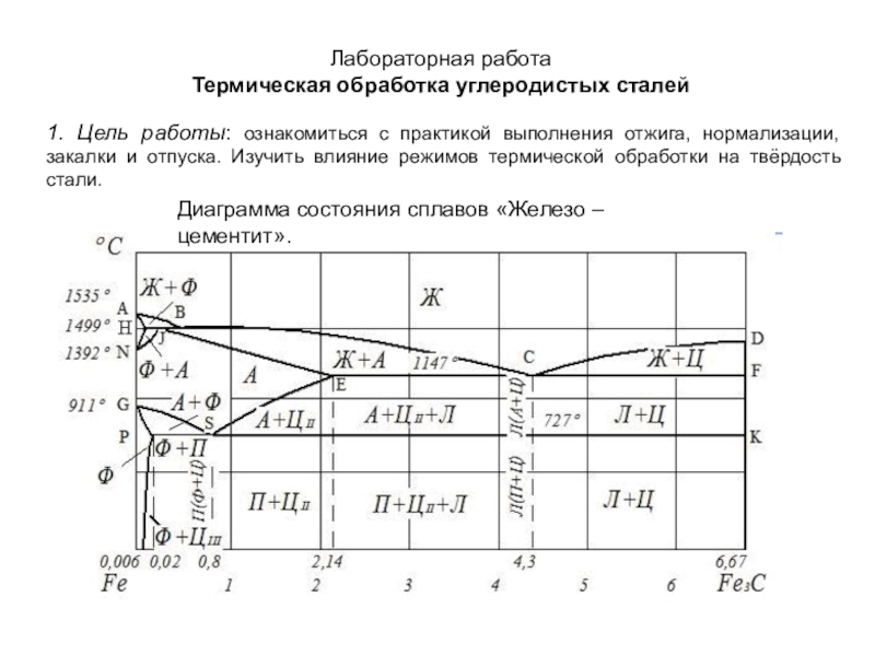 Реферат: Лабораторная работа №5