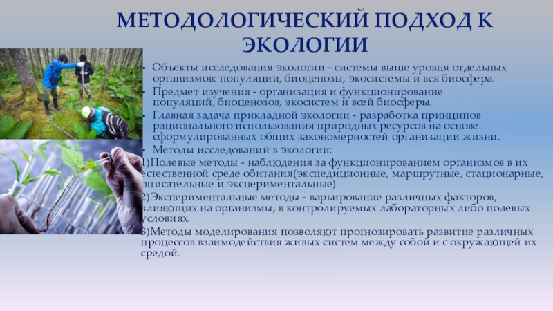 Исследование экологии. Обследования по экологии. Подход экологических исследований Экосистемный. Объект исследования по экологии. Методы полевые и лабораторные биологии.