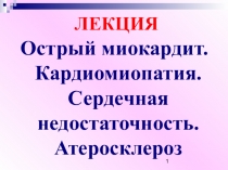 ЛЕКЦИЯ