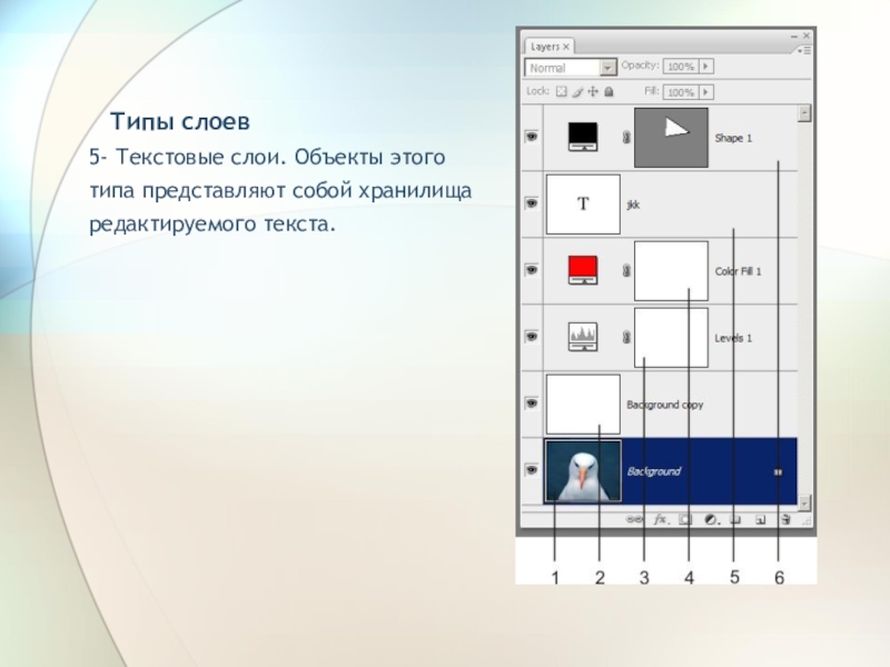 Слои текст. Слои в растровой графике. Векторный слой. Виды текстового слоя. Фоновый слой является разновидностью слоя.