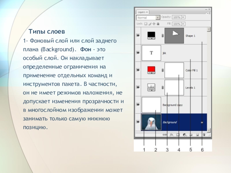 3 каковы особенности слоя заднего плана background