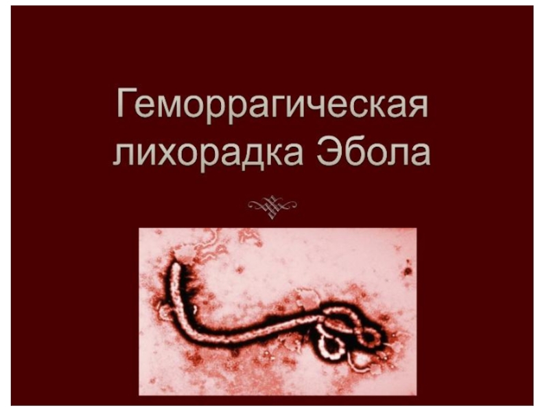 геморрагическая лихорадка Эбола
