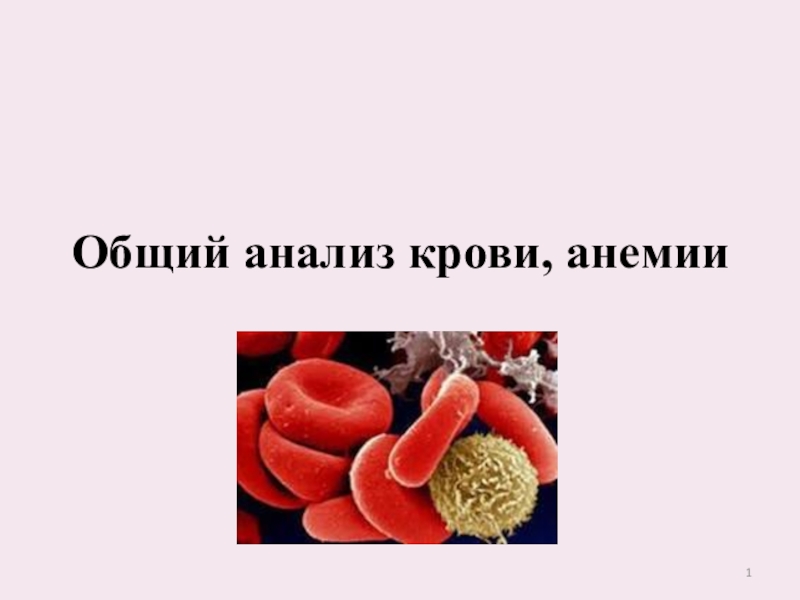 Общий анализ крови, анемии