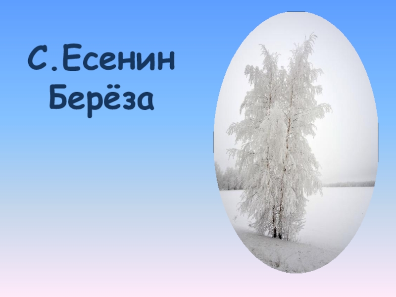 Есенин береза презентация 2 класс школа россии презентация