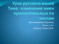 Урок русского языка Тема : изменение имен прилагательных по числам