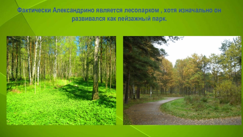 Хотя изначально. Особенности и характерные черты пейзажных парков России. Чем отличается районный парк от других.