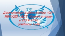 Достижения видеостудии СП МБОУДО ДДТ Синяя птица в 2019-2020 учебном году
