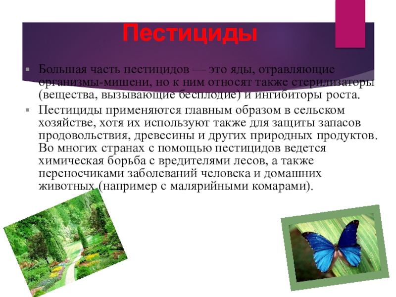 Пестициды это. Пестициды презентация. Болезни от пестицидов. Презентация на тему пестициды. Сообщение на тему пестициды.