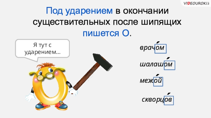 В существительных после шипящих под ударением. Окончания существительных под ударением после шипящих. Ударение на окончание а в существительных. Под ударением в окончании после шипящего пишется. В окончаниях существительных после шипящей под ударением пишется о..