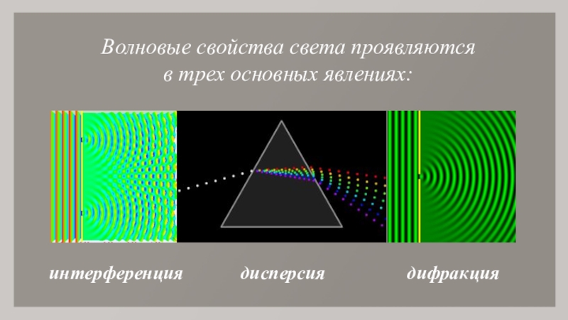 Интерференция и дифракция света презентация