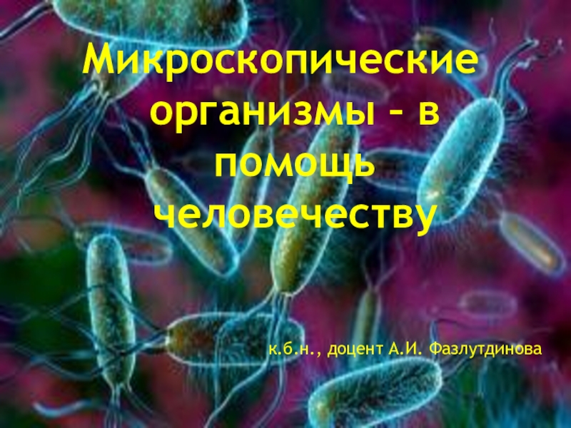 Презентация Микроскопические организмы – в помощь человечеству