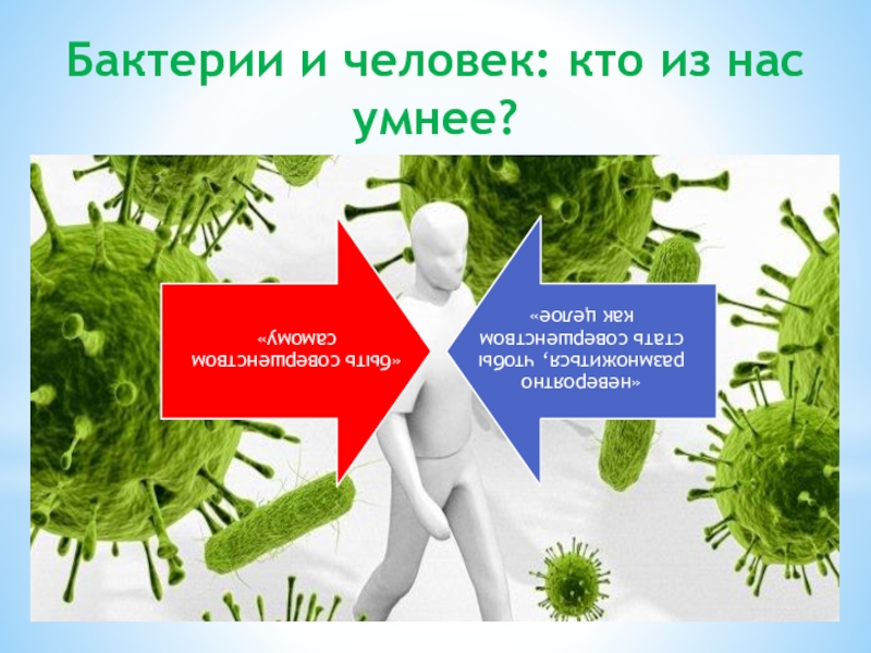 Бактерии и человек презентация